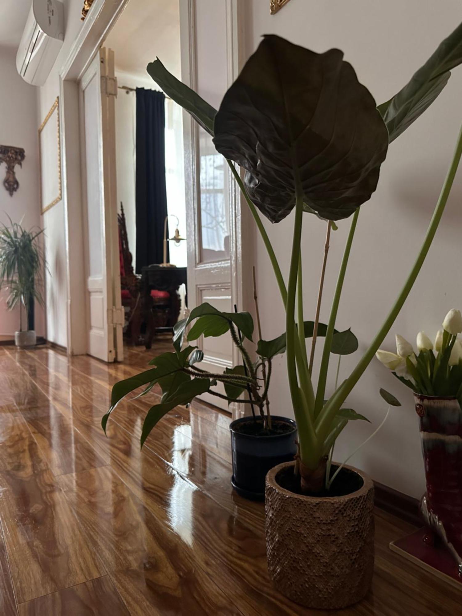 Exclusive Apartment Chmielna Street 95m2 Varsovia Exterior foto